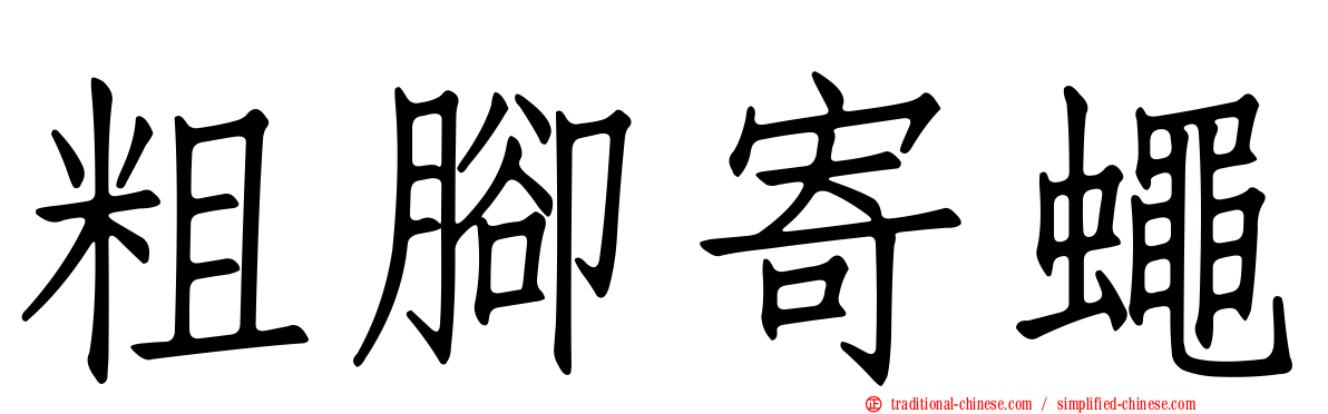 粗腳寄蠅