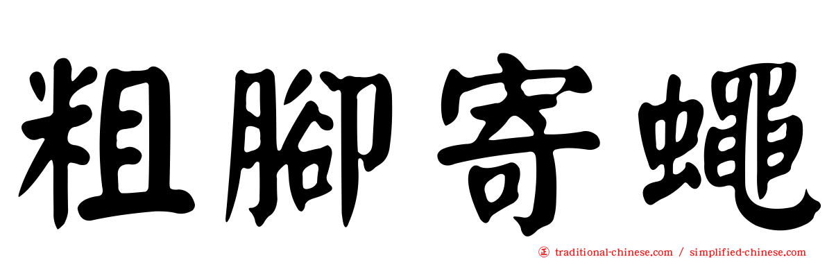 粗腳寄蠅