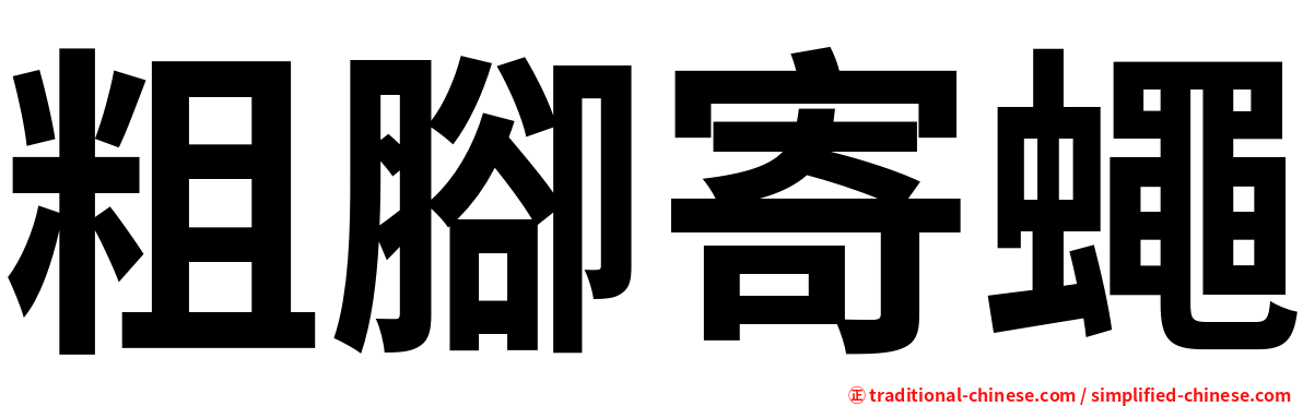 粗腳寄蠅