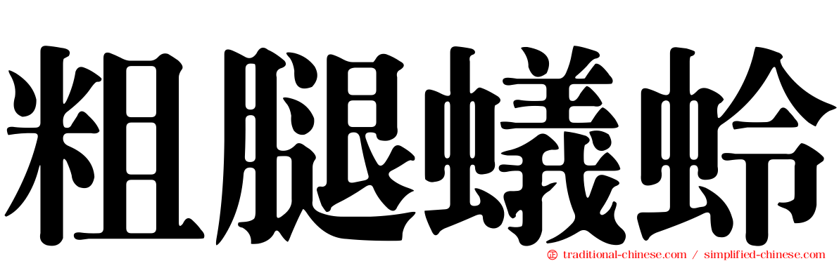 粗腿蟻蛉