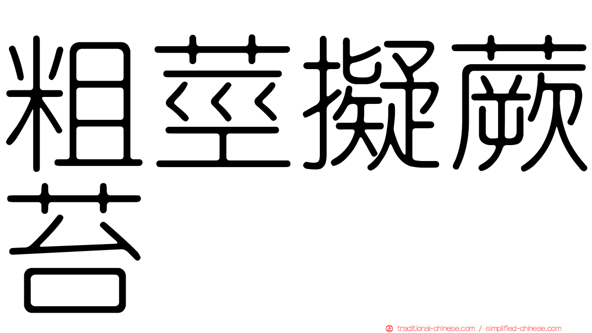 粗莖擬蕨苔