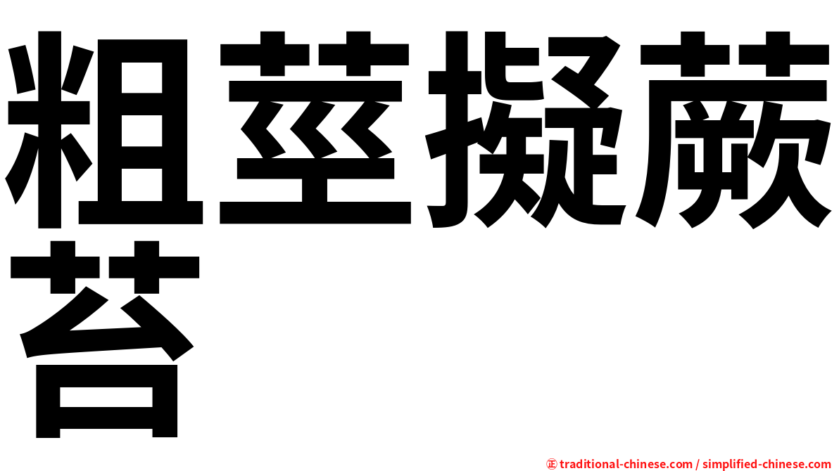 粗莖擬蕨苔