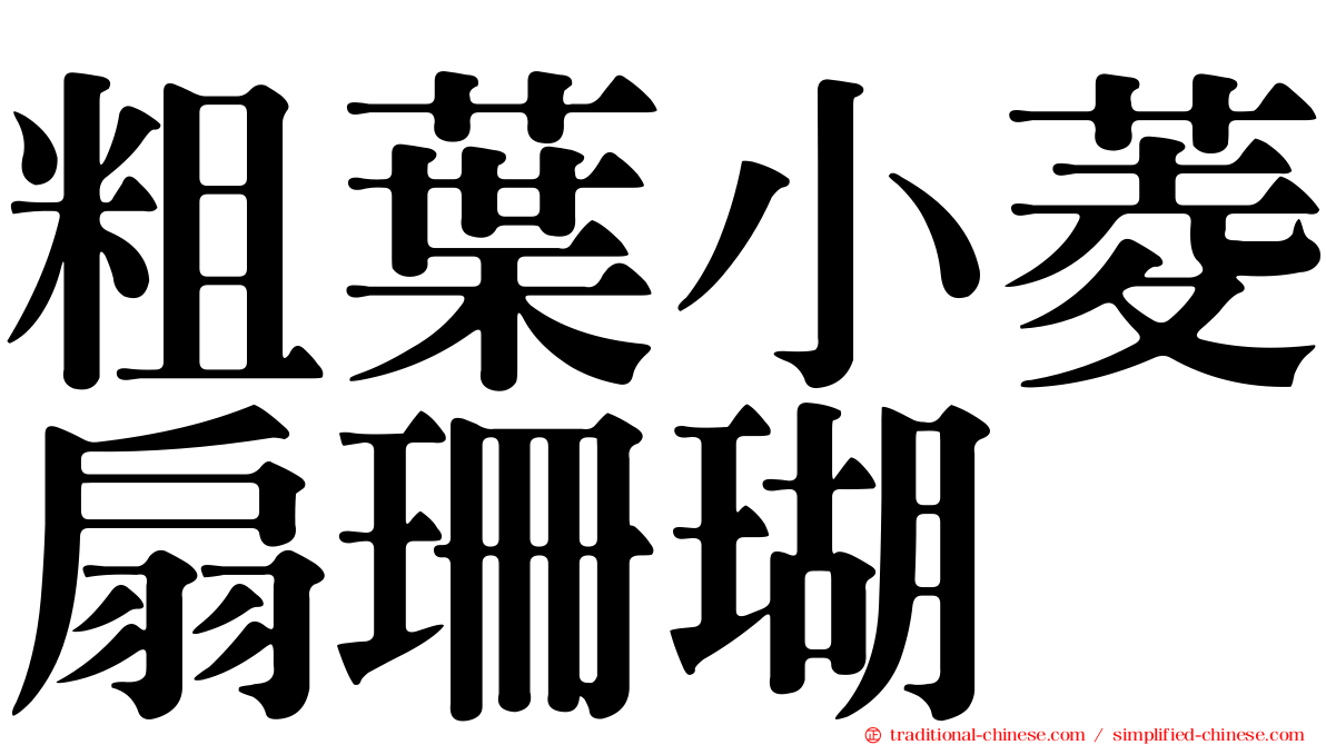 粗葉小菱扇珊瑚