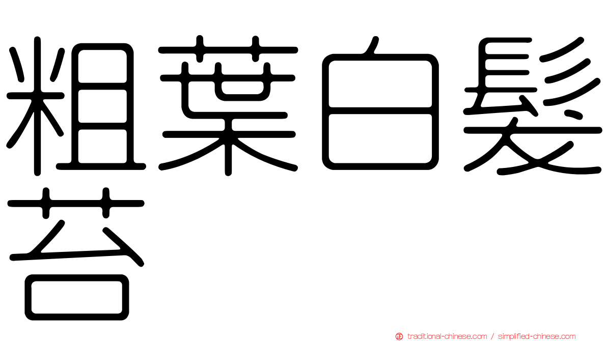 粗葉白髮苔
