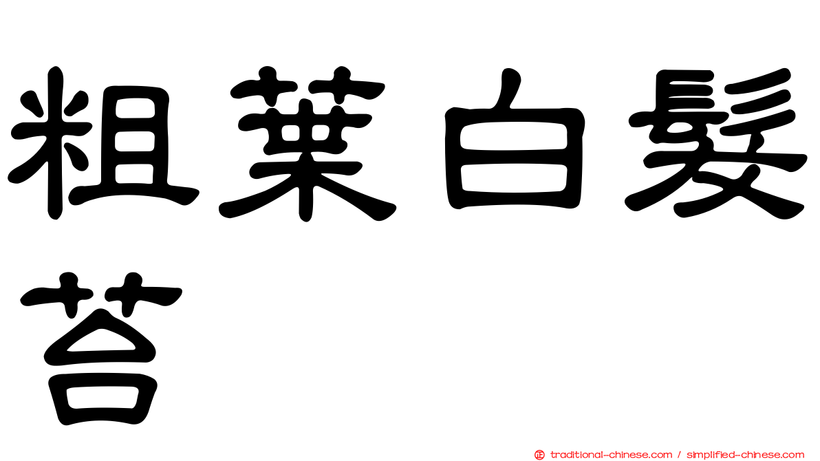 粗葉白髮苔