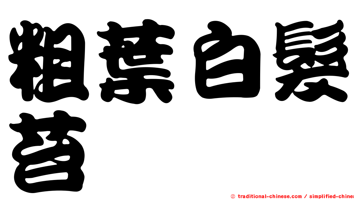 粗葉白髮苔