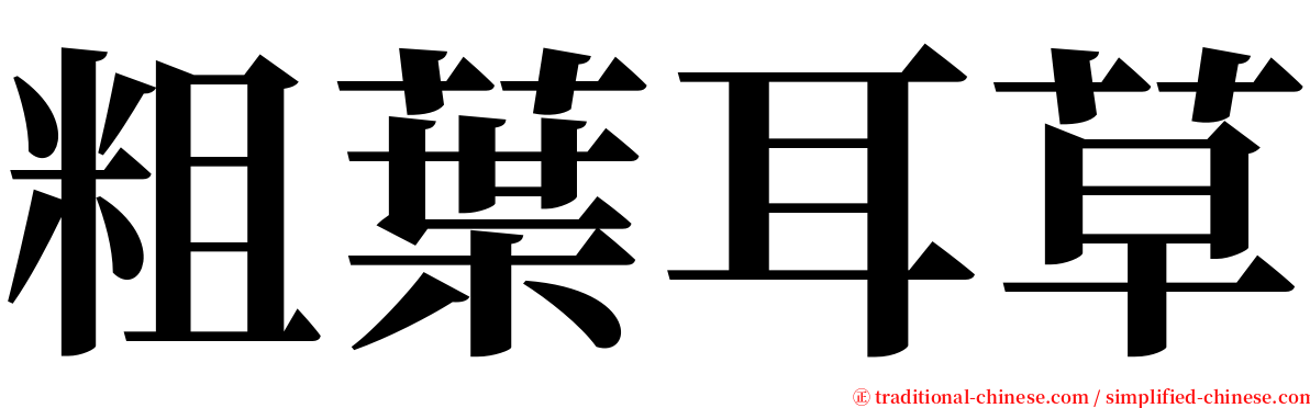 粗葉耳草 serif font