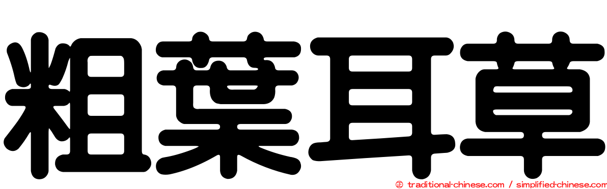 粗葉耳草