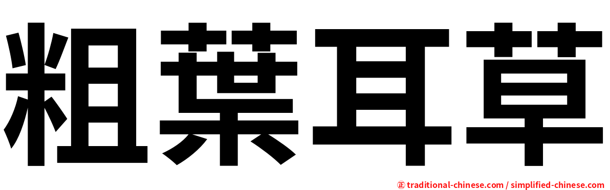 粗葉耳草