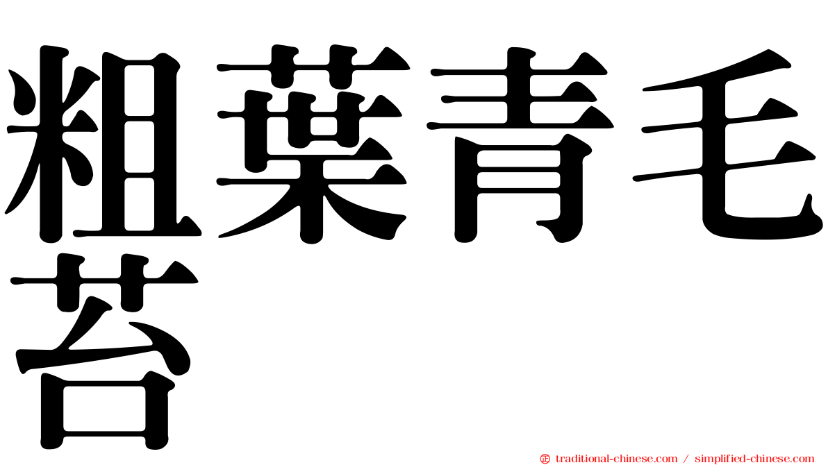 粗葉青毛苔