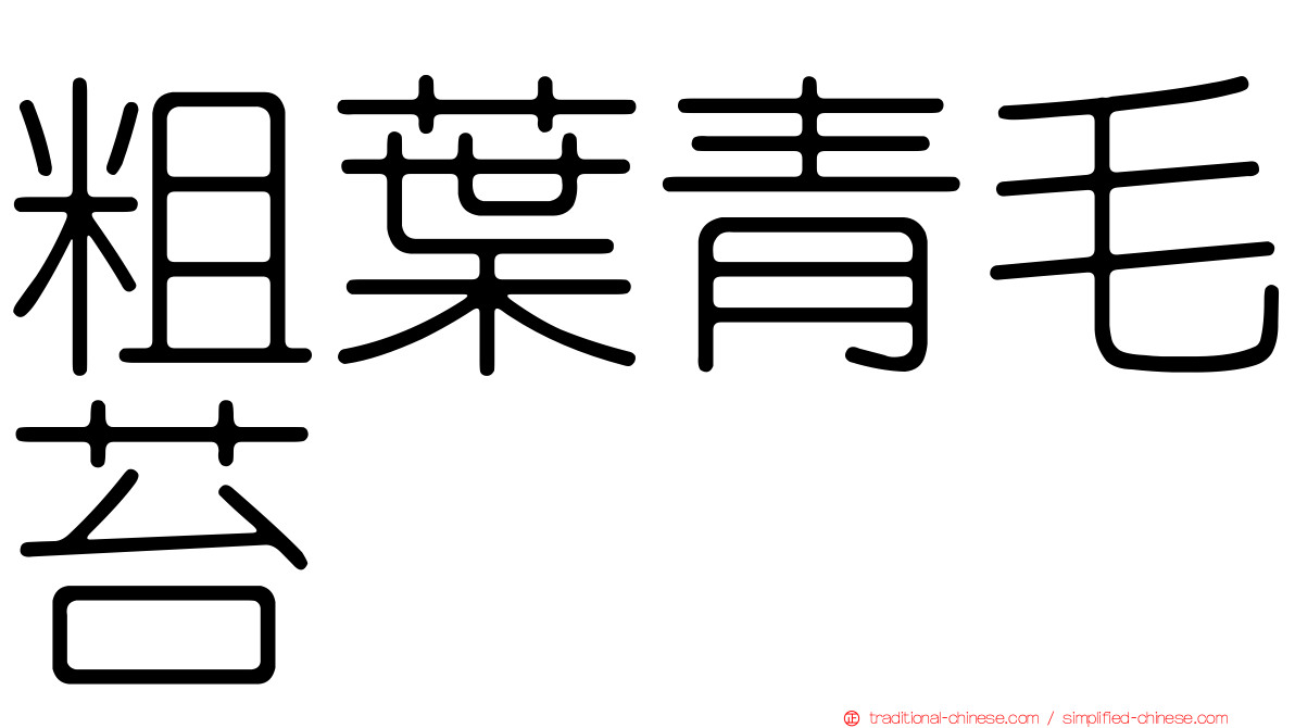 粗葉青毛苔