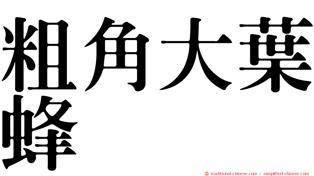 粗角大葉蜂
