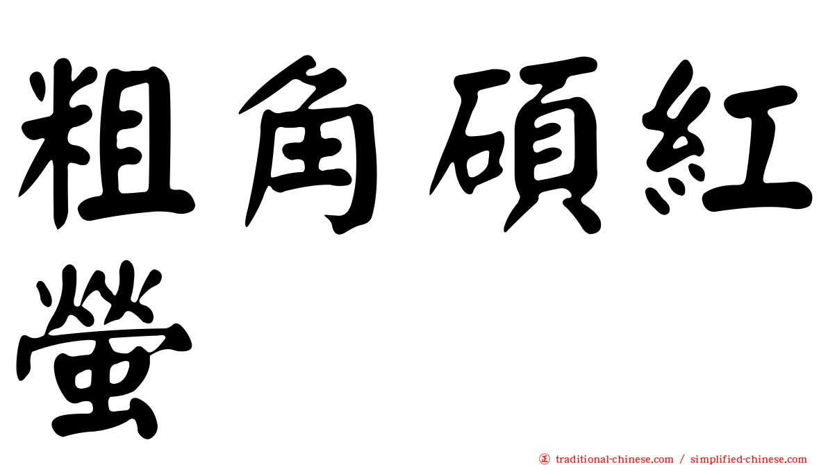 粗角碩紅螢