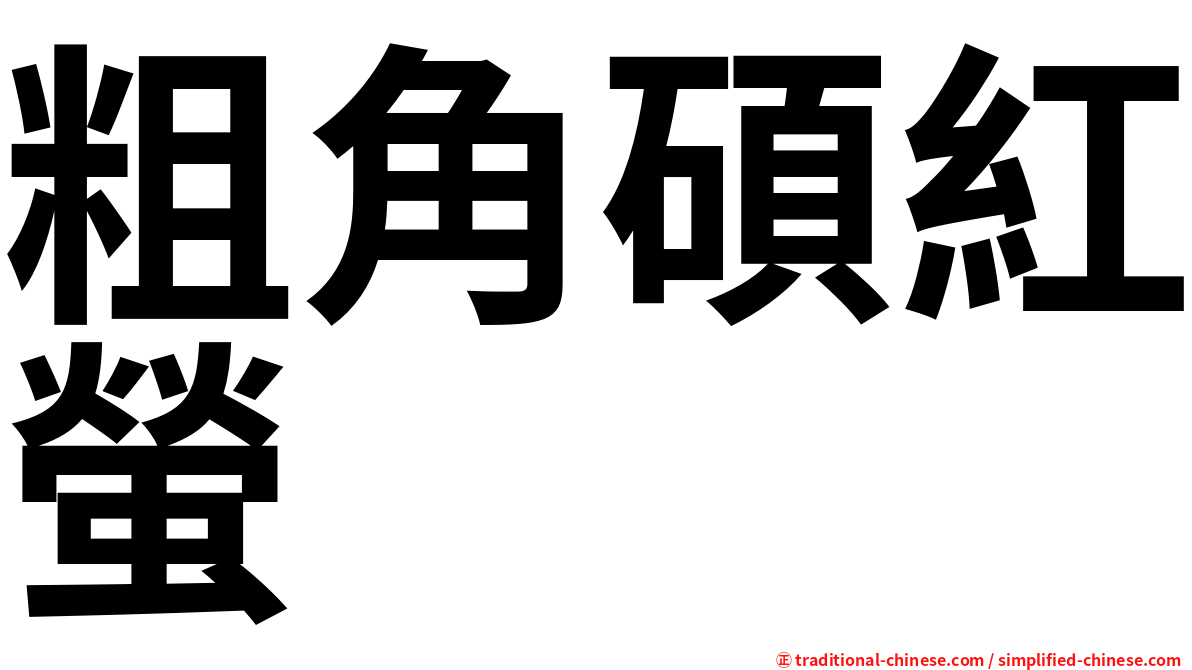 粗角碩紅螢
