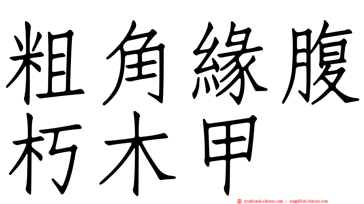 粗角緣腹朽木甲