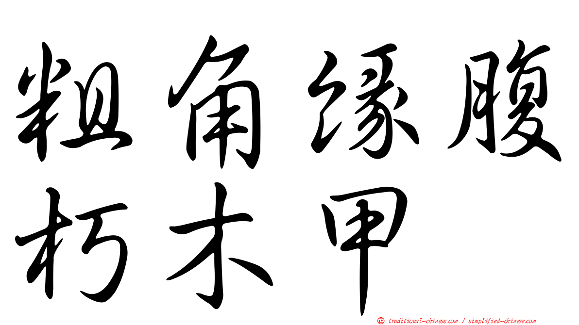 粗角緣腹朽木甲
