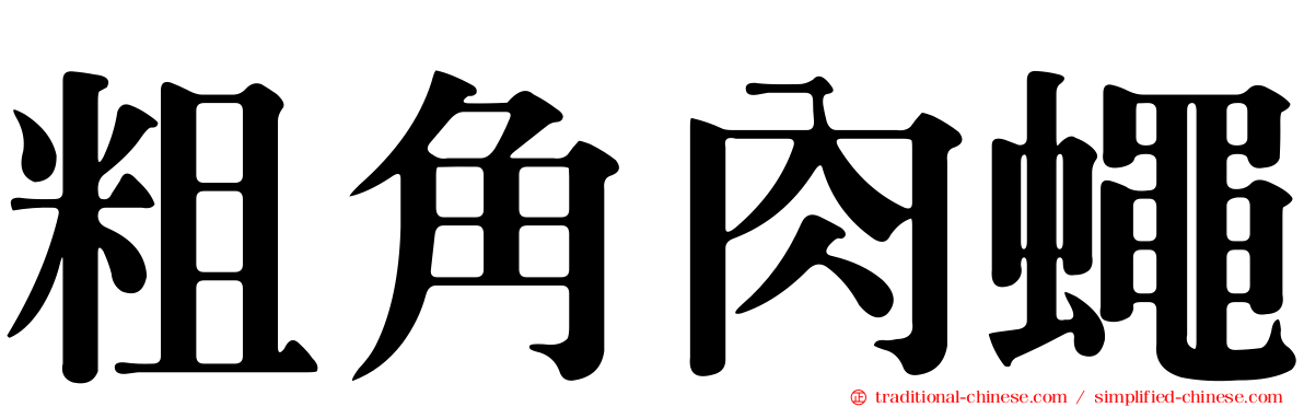 粗角肉蠅