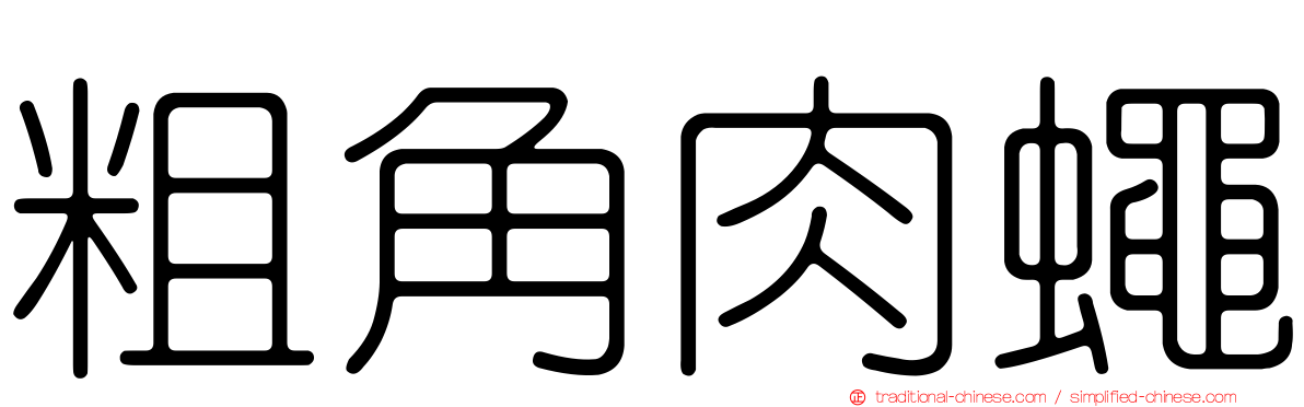 粗角肉蠅