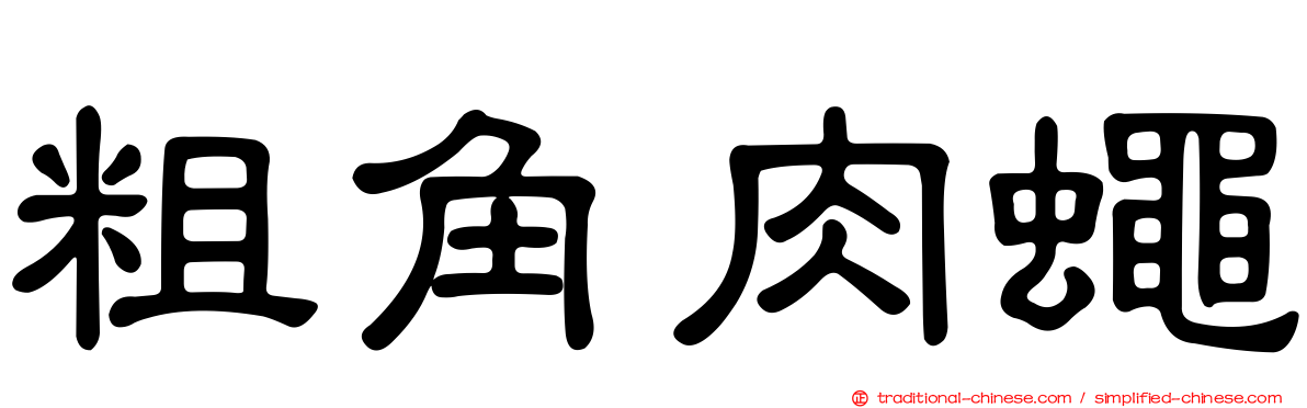粗角肉蠅