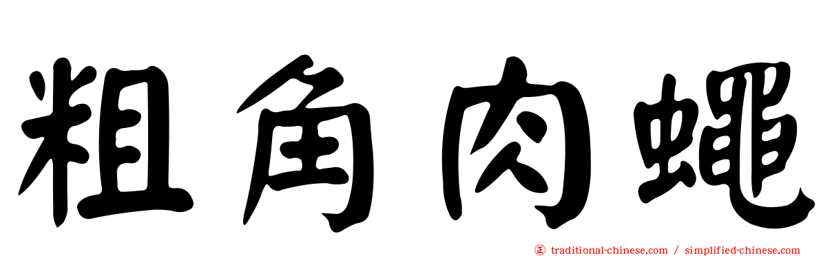 粗角肉蠅
