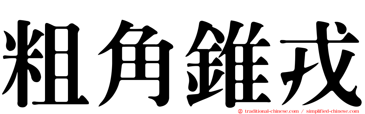 粗角錐戎