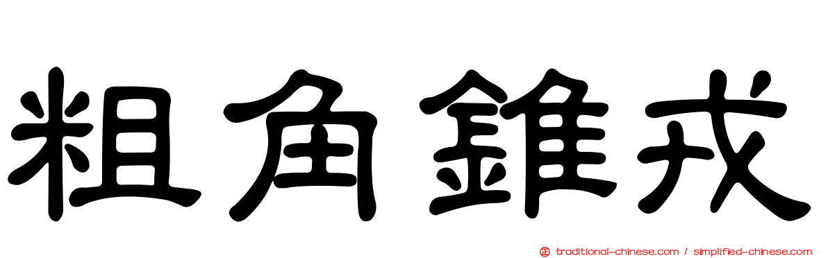 粗角錐戎