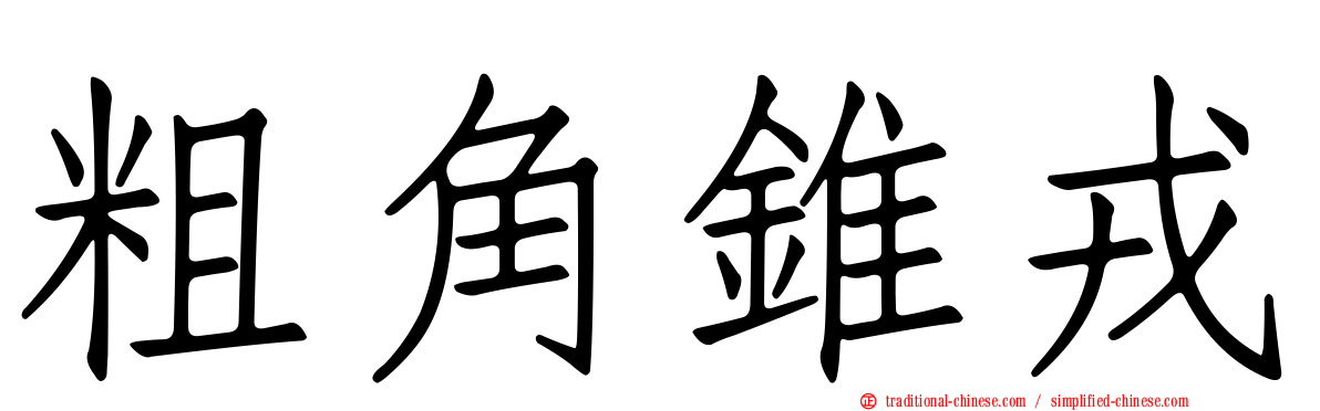 粗角錐戎