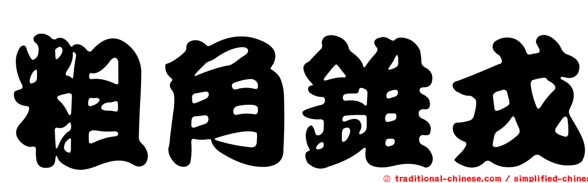 粗角錐戎