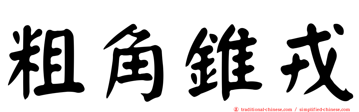 粗角錐戎