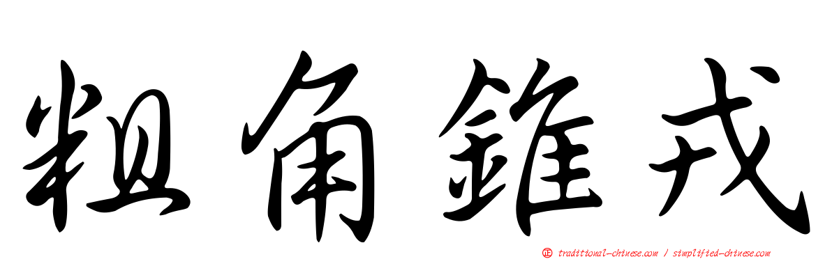 粗角錐戎