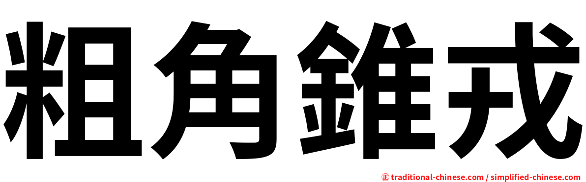 粗角錐戎
