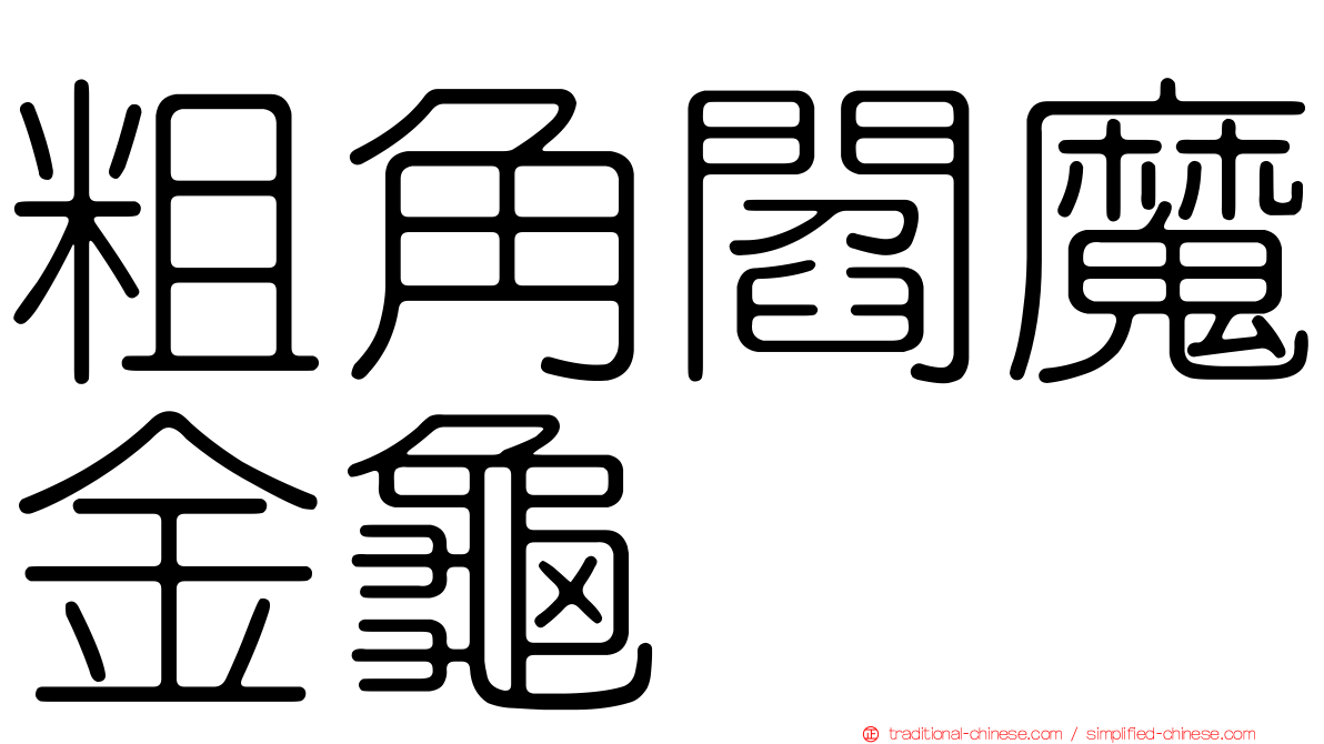 粗角閻魔金龜