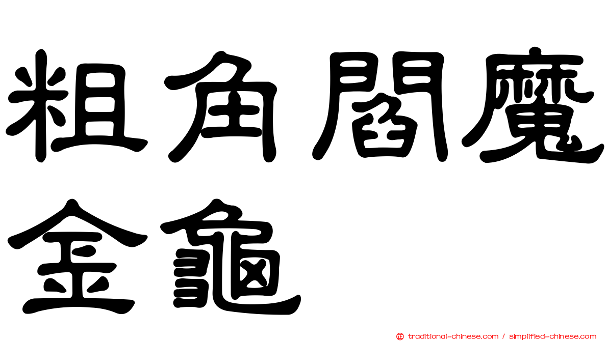 粗角閻魔金龜