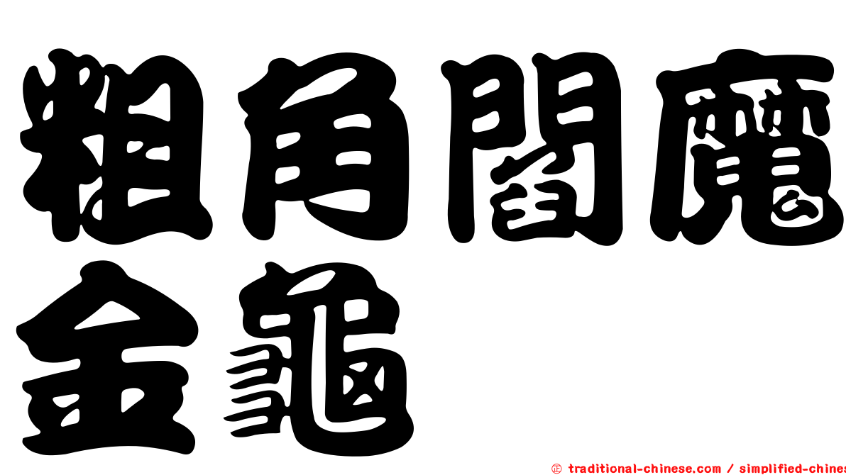 粗角閻魔金龜