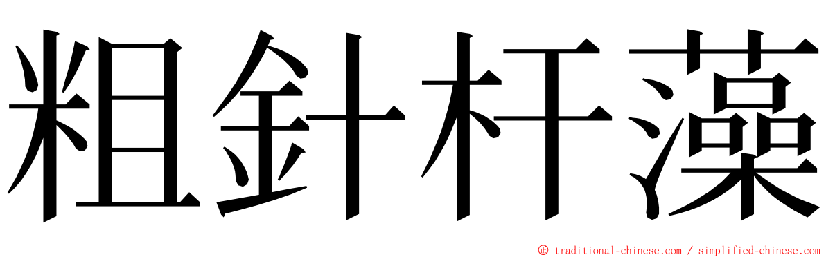粗針杆藻 ming font