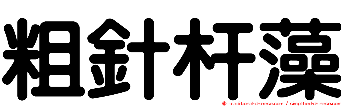 粗針杆藻