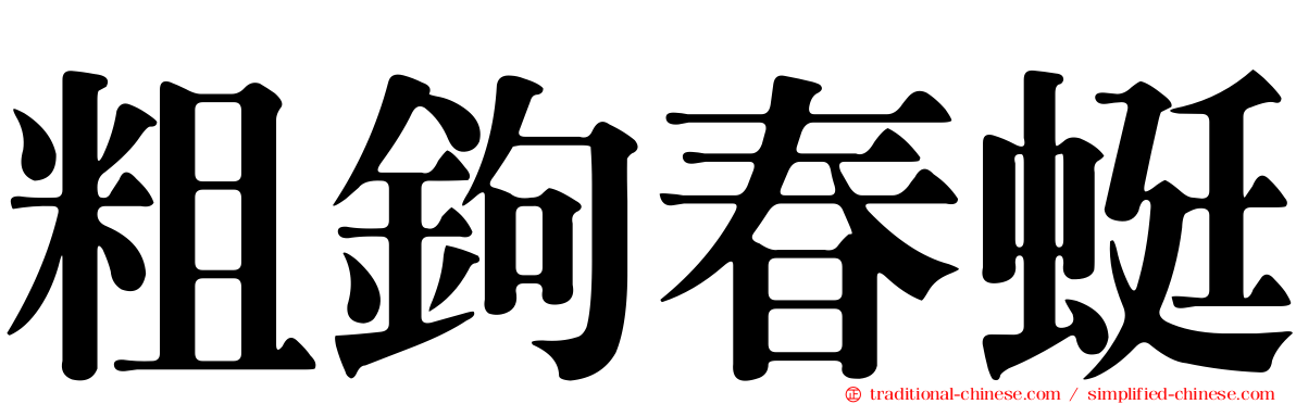 粗鉤春蜓