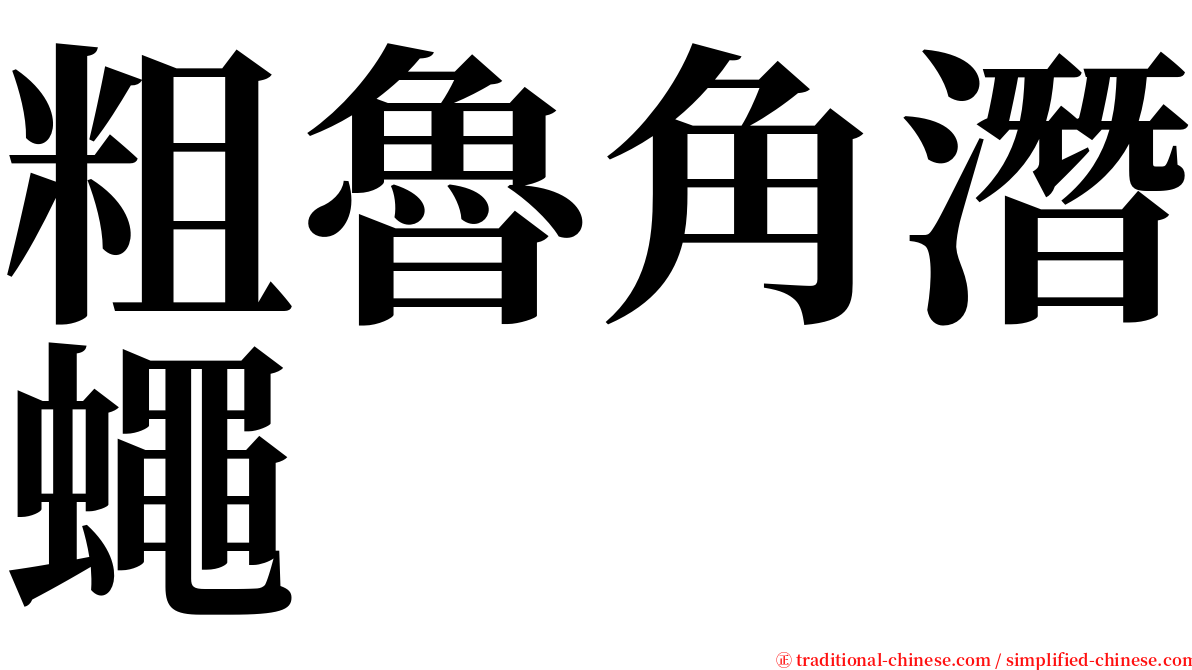 粗魯角潛蠅 serif font