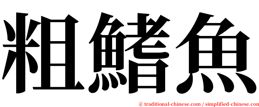 粗鰭魚 serif font