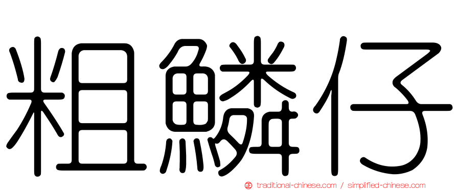 粗鱗仔