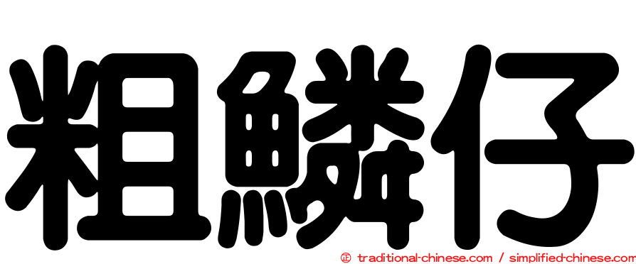 粗鱗仔