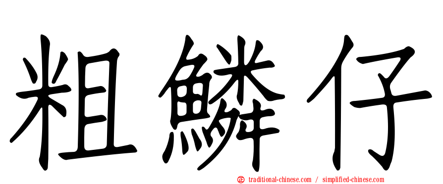 粗鱗仔