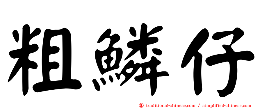 粗鱗仔