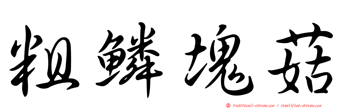 粗鱗塊菇