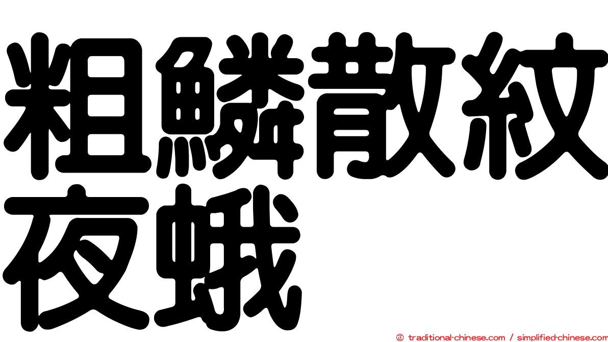 粗鱗散紋夜蛾
