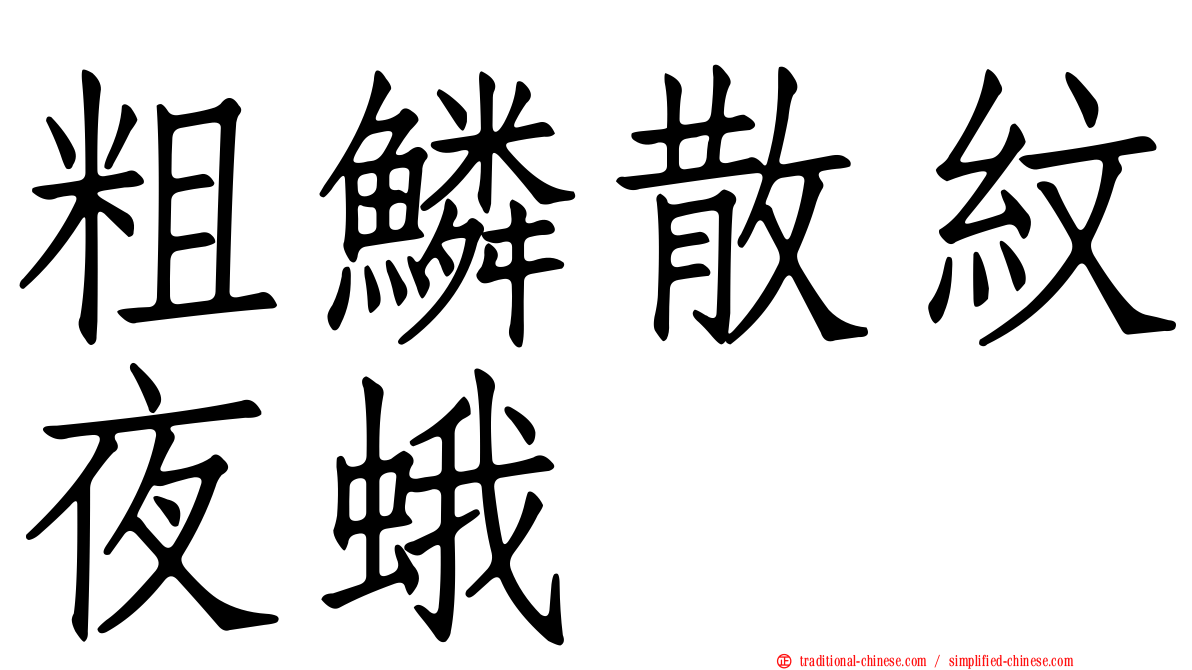 粗鱗散紋夜蛾