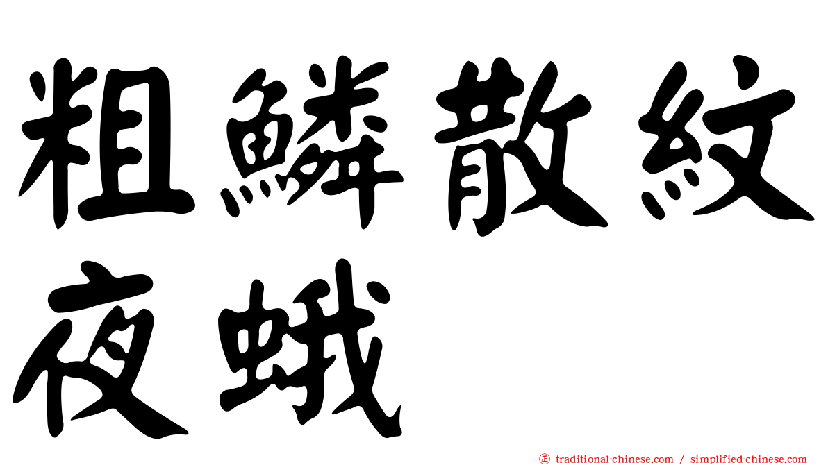 粗鱗散紋夜蛾