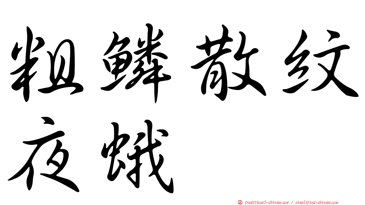 粗鱗散紋夜蛾