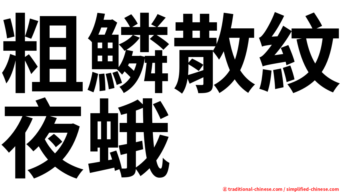 粗鱗散紋夜蛾