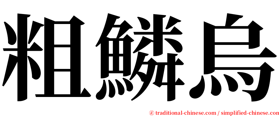 粗鱗烏 serif font